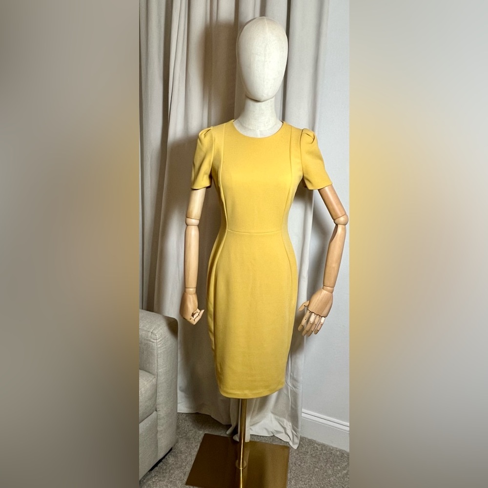 Calvin Klein Short Sleeve Sheath Tulip Sleeve